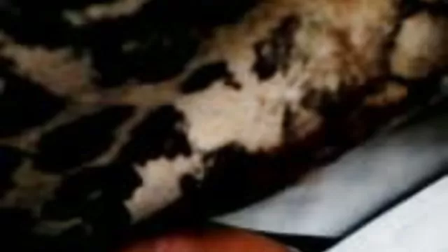 Seksi porno kaydı Küçük kız kardeş Porno Film döküm baştan porn mobil izle