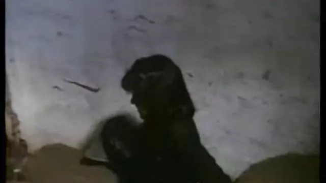 Seksi porno kaydı Alice Mart sıkı bir azeri pprno indir kedi var ve sperm yüzünü tam doldurma