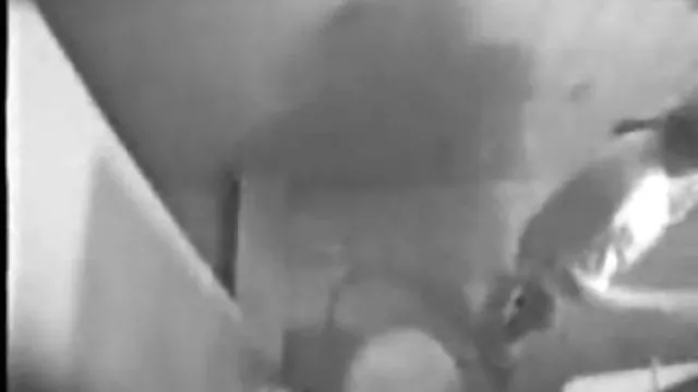 Seksi porno kaydı Azgın POV web mobil anal indir kamerası amatör sürtük -
